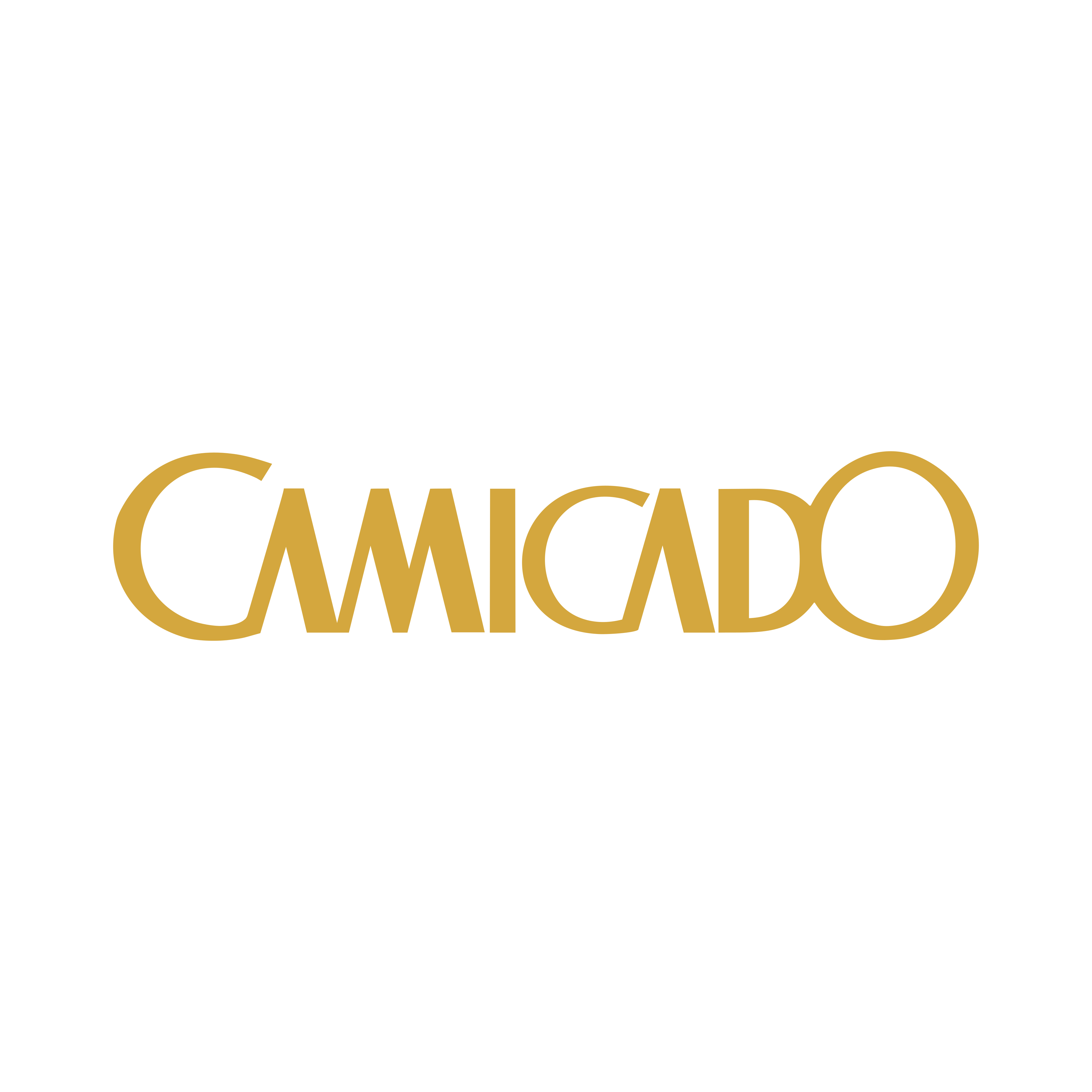 Logo Camicado