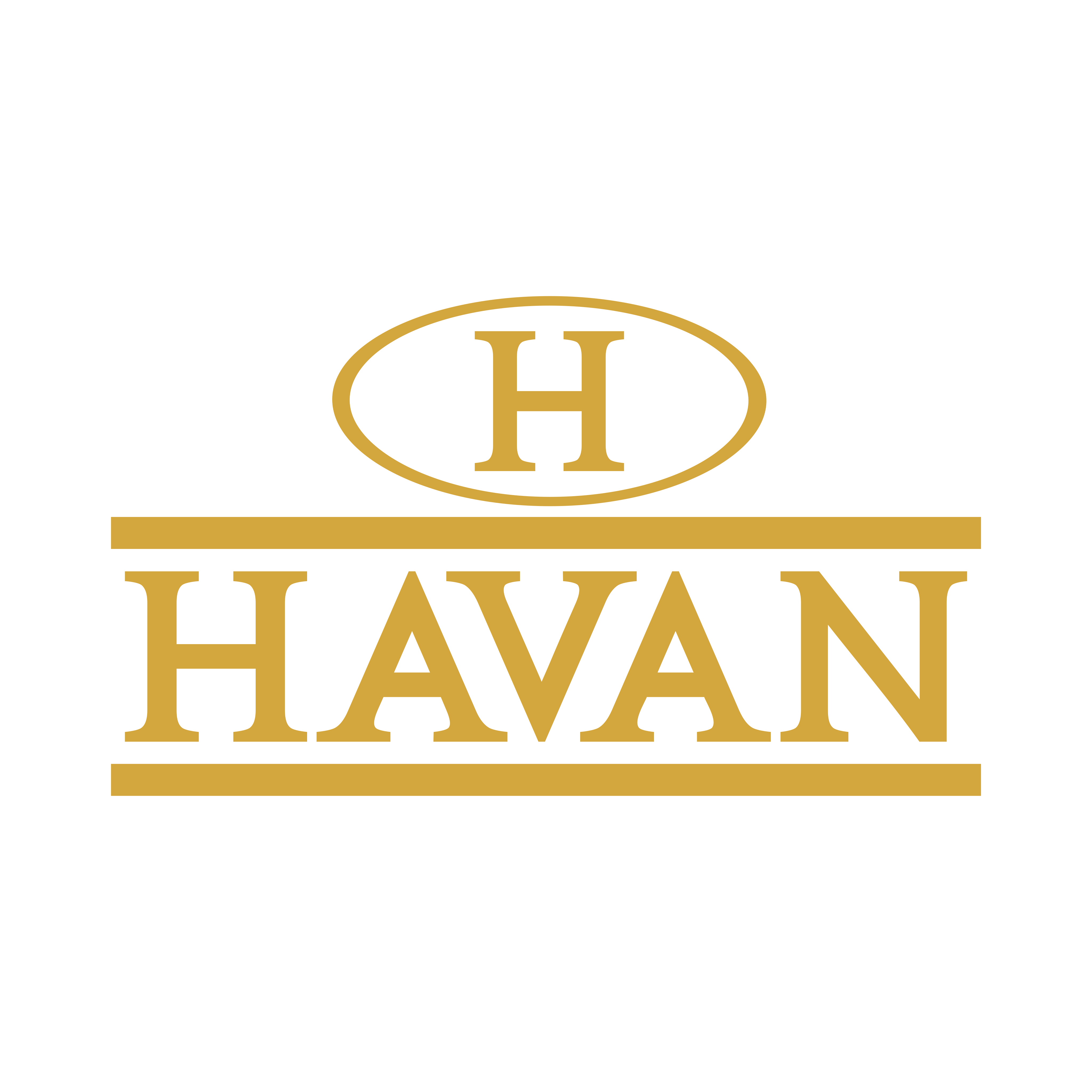 Logo Havan